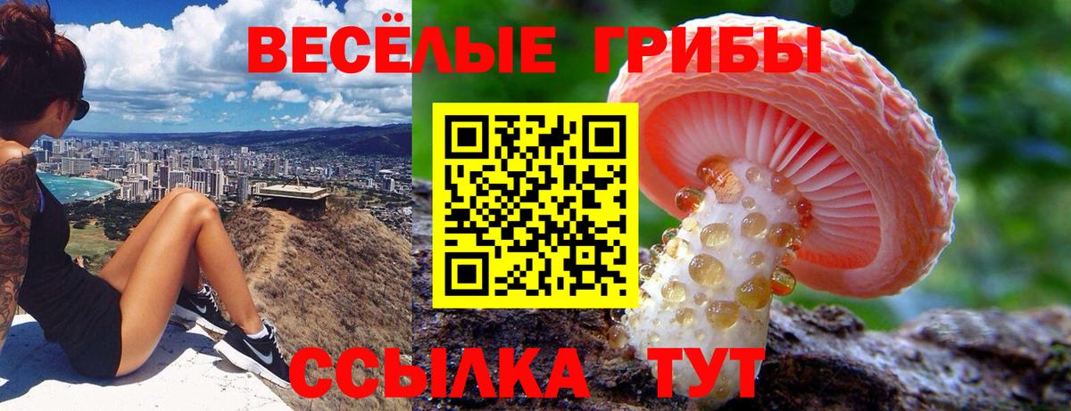 Чита  Галлюциногенные грибы прущие грибы  Вход с VPN  Галлюциногенные грибы Magic Shrooms 